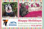 Postcard (front): VCA SFVS — Holiday Greeting