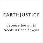 Temporary Tattoo (back): EarthJustice