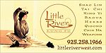 Cardoor Magnet: Little River Kung Fu